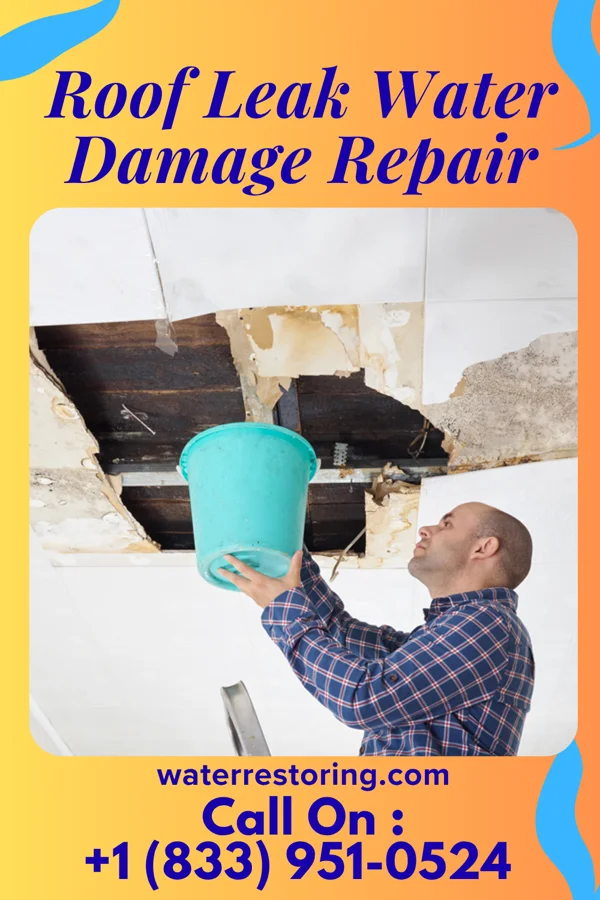 Roof Leak Water Damage Repair in Corona de Tucson, AZ